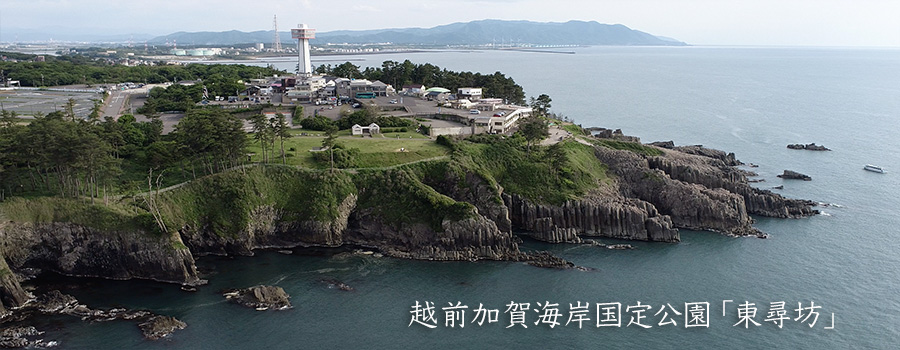 越前加賀海岸国定公園東尋坊