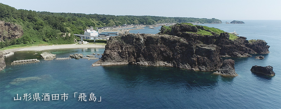 山形県酒田市飛島