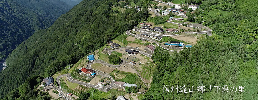 信州遠山郷下栗の里