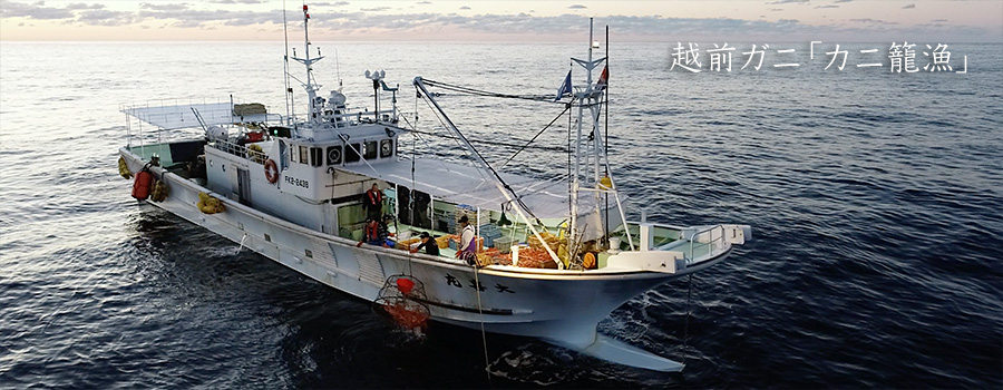 越前ガニカニ籠漁