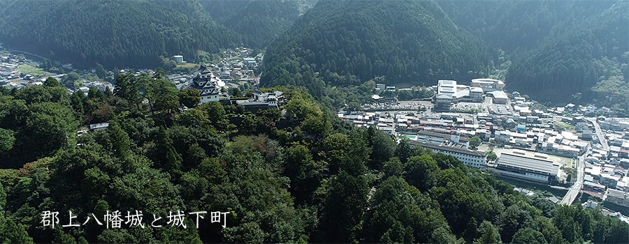 岐阜県郡上市郡上八幡城